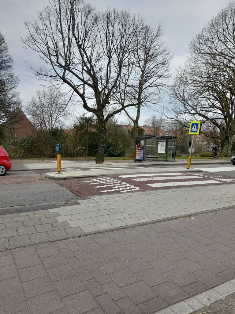 Verkeersplateau Galileiplantsoen/Radioweg, 2024