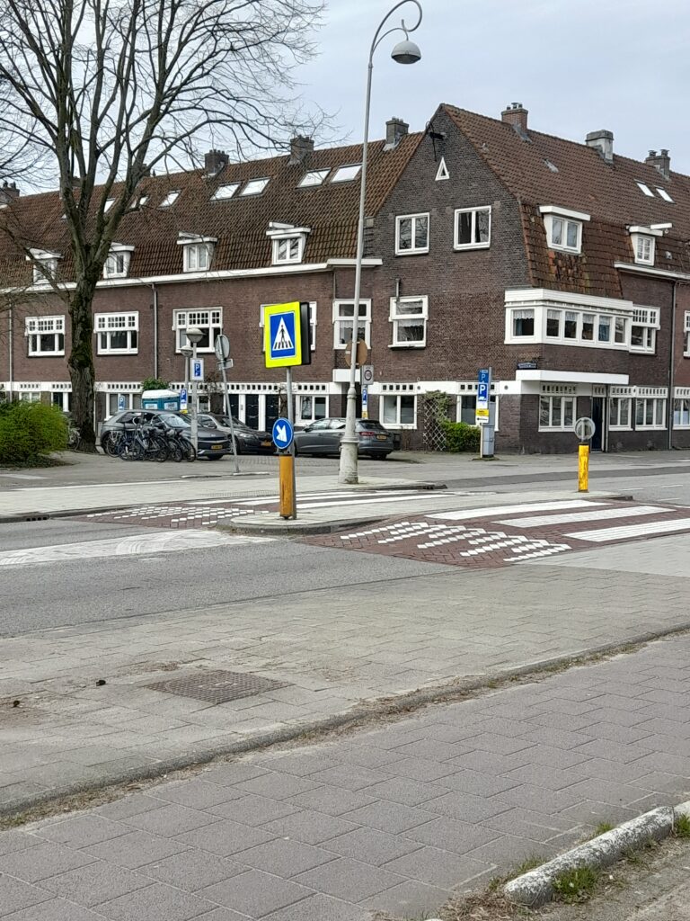 Verkeersplateau Galileiplantsoen-Archimedesweg, 2024