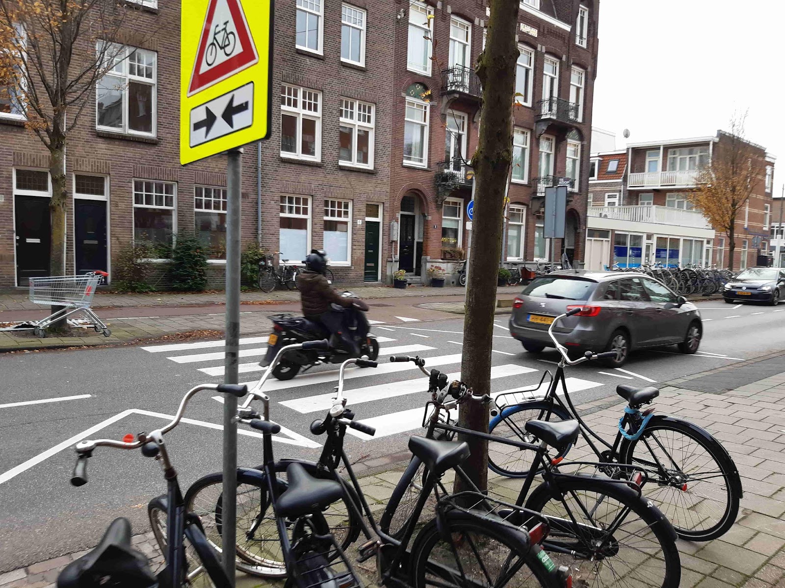 Zebrapad en fietsoversteek Wethouder Frankeweg-Linnaeushof