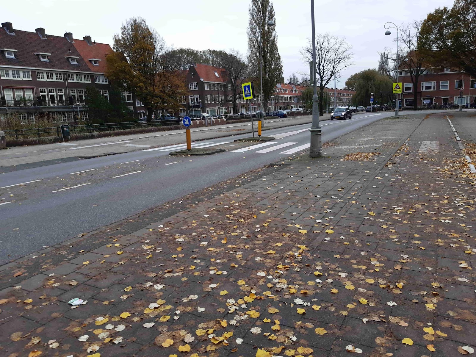 Zebrapad ten zuiden van kruising Galileiplantsoen-Archimedesweg