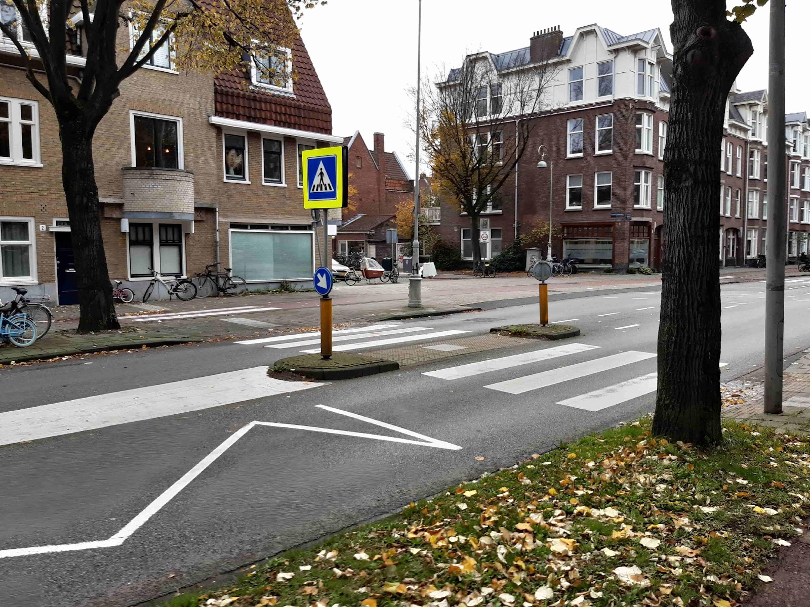 Zebrapad noordelijke kruising Galileiplantsoen-Linnaeusparkweg